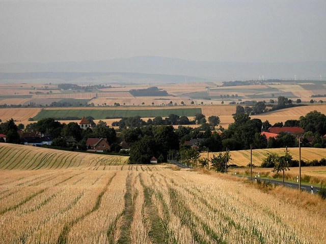 Suche Ackerland (Grundstück) genaueres in der Beschreibung (Alles Anbieten)