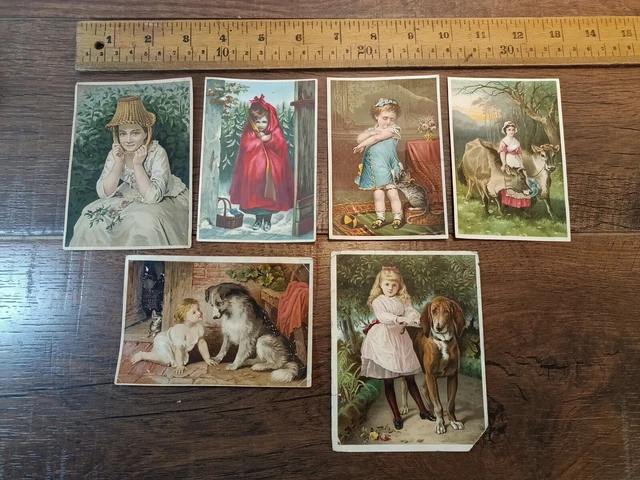 1880s trade cards. Dr. Jayne's Sanative Pills Lincoln, Cowles, C. lot Of 6 (K1)