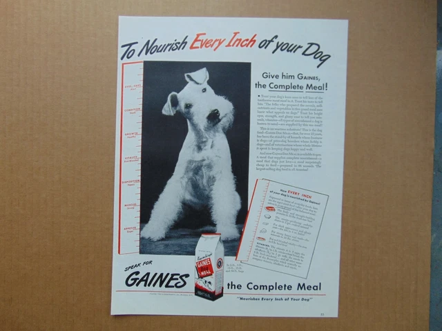 1944 GAINES DOG MEAL Nourish Every Inch Terrier Dog art print ad