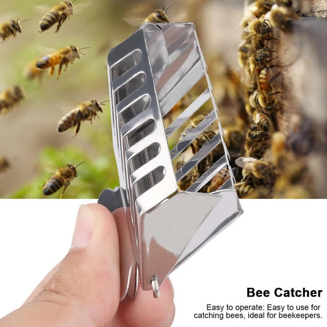 STAINLESS STEEL QUEEN Bee Catcher Clip Queen Cage Clip Bee Catching