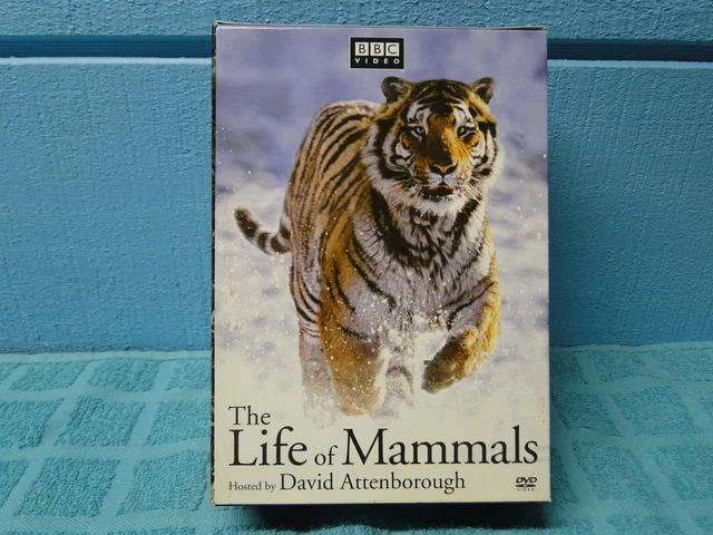洋画・外国映画 DVD BBC THE LIFE OF MAMMALS 91CNytwTNvL._UF894,1000_QL80_.jpg