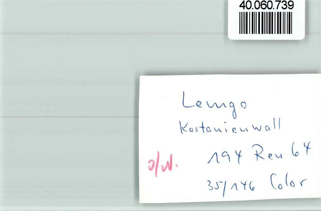 40060739 - 4920 Lemgo Chestnut Wall 2