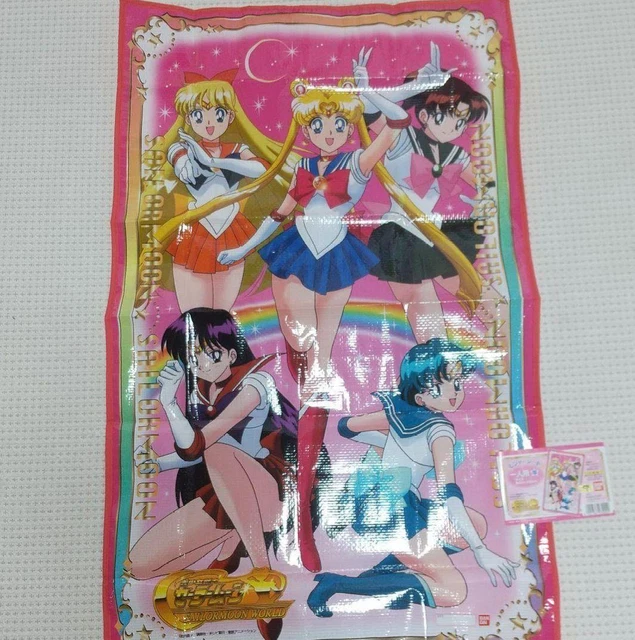 Sailor Moon Picnic Sheet One Person Use Aired Item