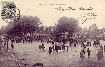 CPA 61 NORMANDIE ORNE ALENCON Marché aux Chevaux 1907 AGRICULTURE