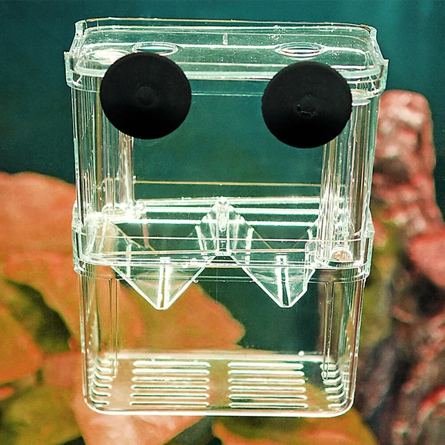 Aquarium Hatcher Trap Fish Breeding Box Tank Fry Pregnant Breeder Isolation Case
