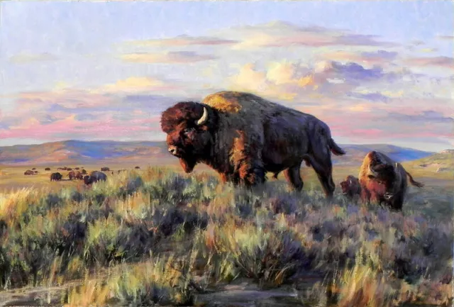 High-quality Handpainted Oil painting art Animals Buffalo on canvas