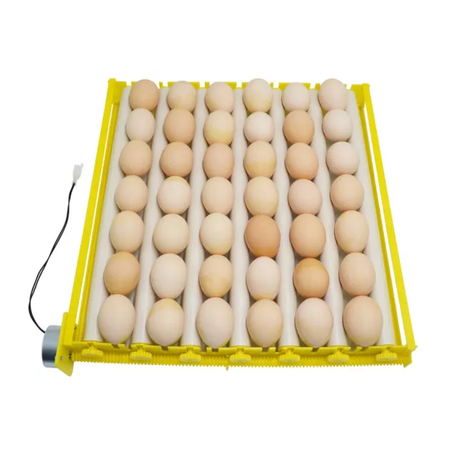360° Automatic Rotary Egg Turner Roller Tray 110V/220V 42Egg Hatching Incubator