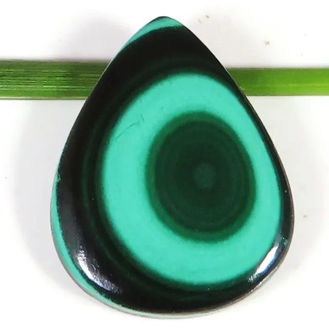 natural MALACHITE cabochon loose gemstone 18.10 Cts. (17 x 22 x 3 mm) pear shape