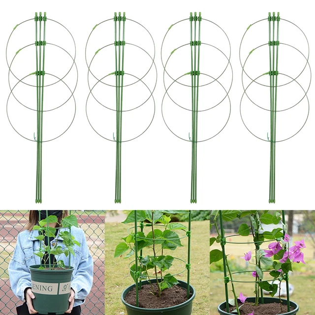 Supporti Per Piante In Metallo - Set Da 10 Pali Con 20 Clip, Per Rose, Pomodori E Rampicanti - Foto 3