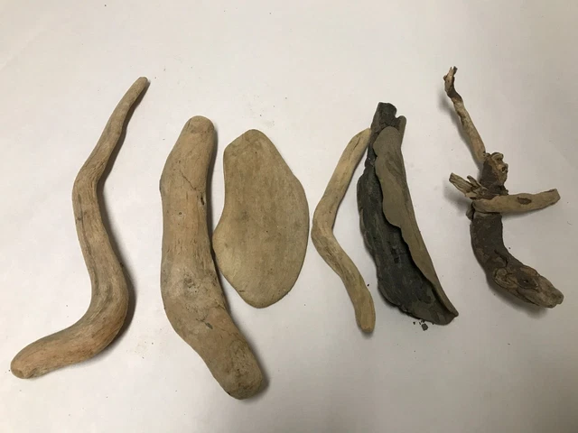 Lot of 6 pcs driftwood freshwater terrarium aquarium crafts 6-10"
