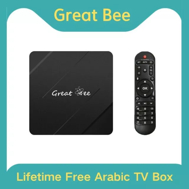 Great Bee Arabic TV Box Lifetime Free Android 10 4K Smart TV Box Media Player