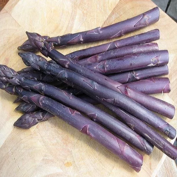 Vegetable  Asparagus  Sweet Purple  25 Finest Seeds