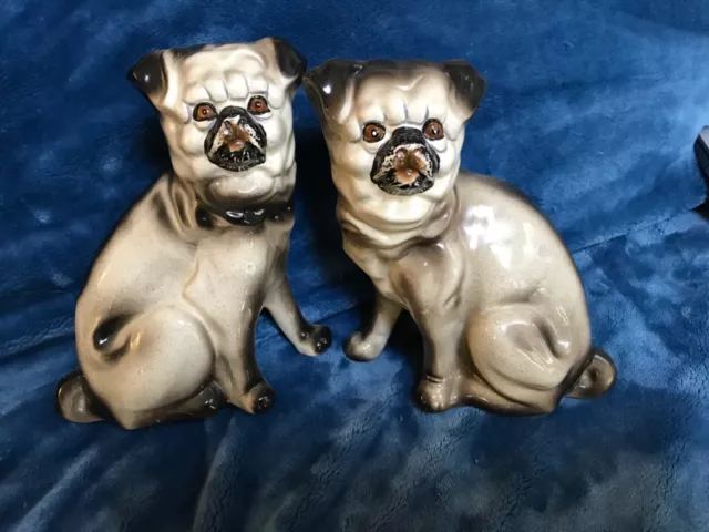Staffordshire style pug figurine pair 9” x 7 1/2” small glaze flake to body of 1