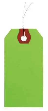 Zoro Select 4Wky1 2-7/8" X 5-3/4" Green Paper Wire Tag, Includes 12" Wire,