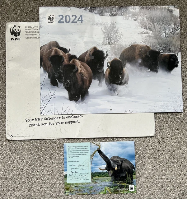 2025 WWF WORLD Wildlife Fund 12 Month Wall Calendar Snow Buffalo Bison