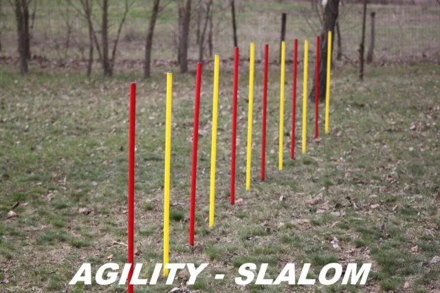 Agility - Slalom - Lot Différentes Variations De Couleurs / Original Wuzzmann