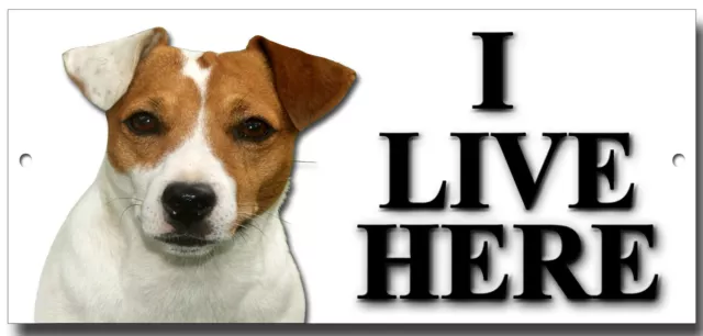 Jack Russell Terrier,I Live Here Metal Sign,Dog Breeds,Security Sign.