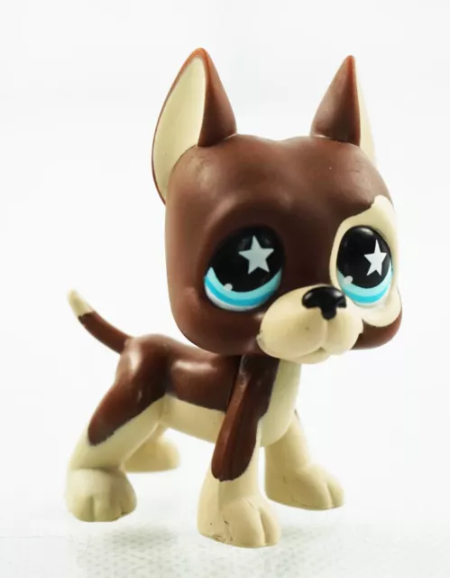 2.3'' Chocolate Dane Dog Star Eyes LPS #817 Littlest Pet Shop Kids Toys Edition