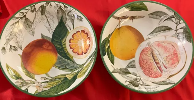 2 WILLIAMS SONOMA Bowls Botanical Citrus, Orange and Grapefruit
