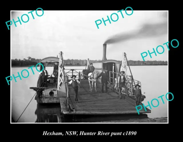 OLD LARGE HISTORIC PHOTO OF HEXHAM NSW, HUNTER RIVER PUUNT c1900