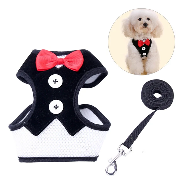 Collares negros de correa para mascotas Vset cinturón trasero para gatos mascotas perros