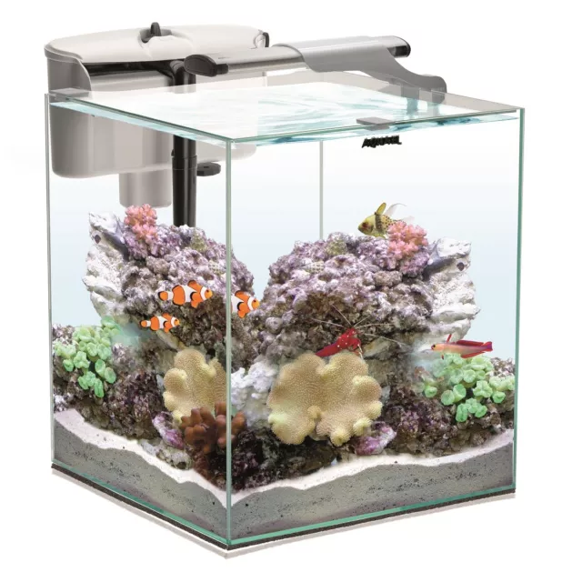 AQUAEL Nano Reef Duo Verre Blanc LED Eau Salée Meerwasserkomplettset 49l