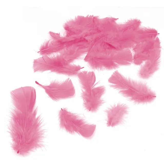 1 Pack Light Pink Feathers Kids Easter Arts and Craft Bonnet Garden Decorations