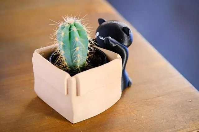 Kawaii Cat Cute with a Planter Box Pot 2