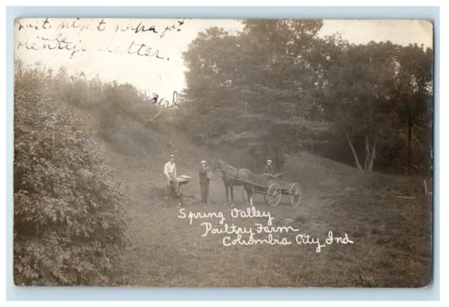 c1910's Spring Valley Poultry Farm Columbia City Indiana IN RPPC Photo Postcard