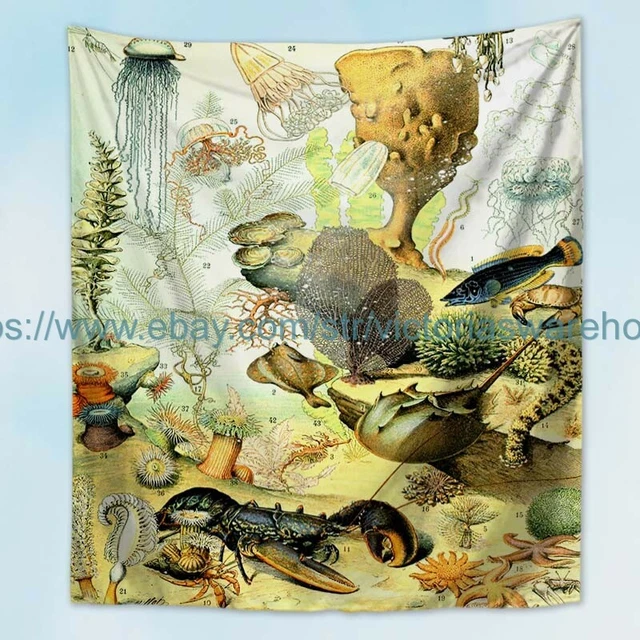 Adolphe Millot ocean sea life vintage French art wall tapestry blanket mat art