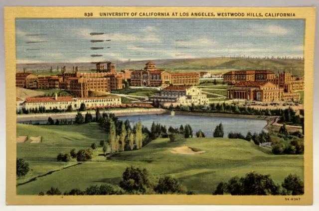 University of California at Los Angeles, Westwood Hills, California CA Postcard