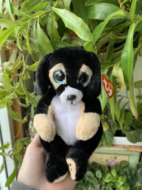 Roscoe beanie boo birthday best sale