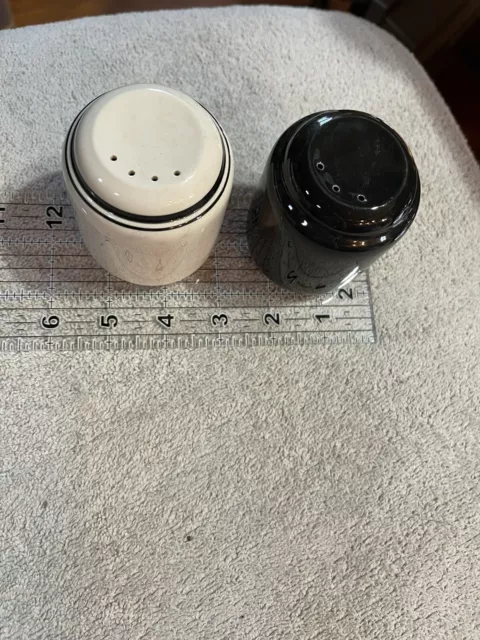 Noritake Misty Isle Black Tango Salt and Pepper Shakers