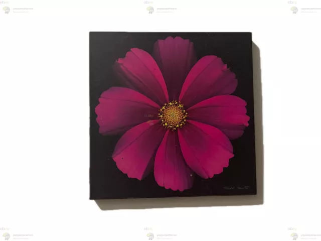 Harold Feinstein Flower Wall Hang Picture Frame Item#503623 hardcover book coach