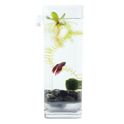NoClean Aquariums self cleaning Betta Fish Tank with Light, Stones and Food Kit