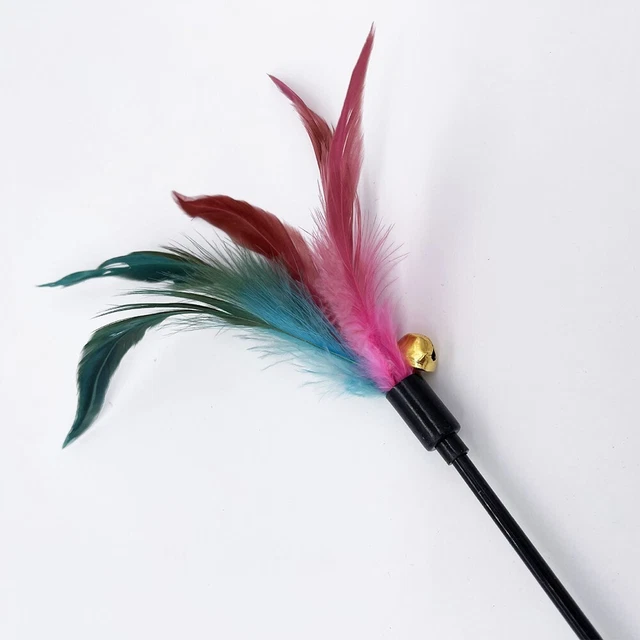 Jouet teaser flambant neuf en plastique pour animaux de compagnie + plumes tease