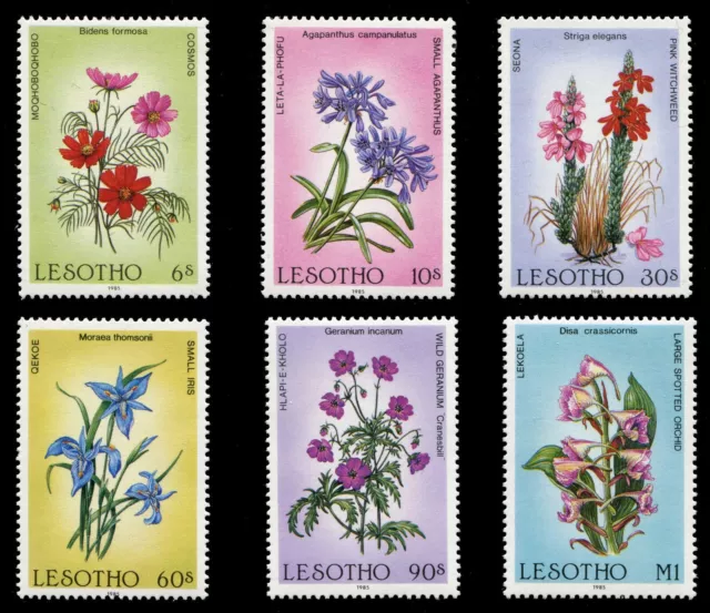 Lesotho 1985 - Mi-Nr. 540-545 ** - MNH - Blumen / Flowers