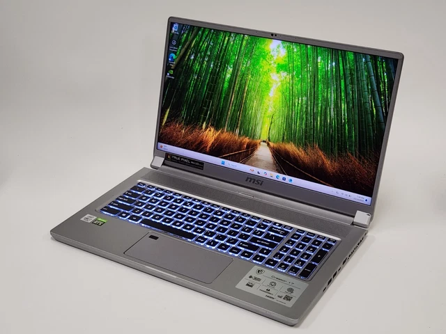 MSI CREATOR 17 A10SGS i7-10875H 32GB 1TB NVME RTX