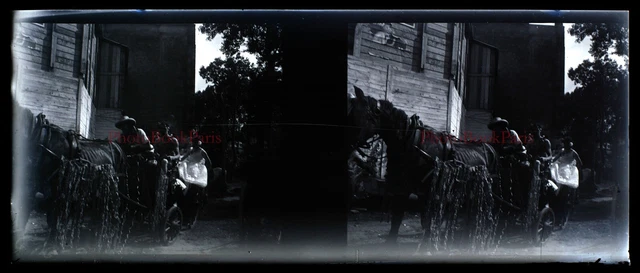 Famille Amateur c1920 Photo NEGATIVE Stereo Plaque de verre PL28L2n6 Vintage 