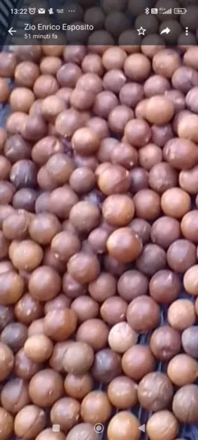 Noci Macadamia In Guscio 1kg 