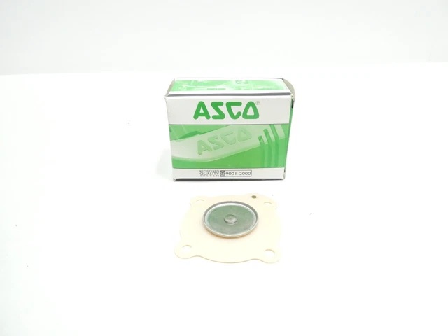 Asco 200262 Red-hat Valve Repair Kit