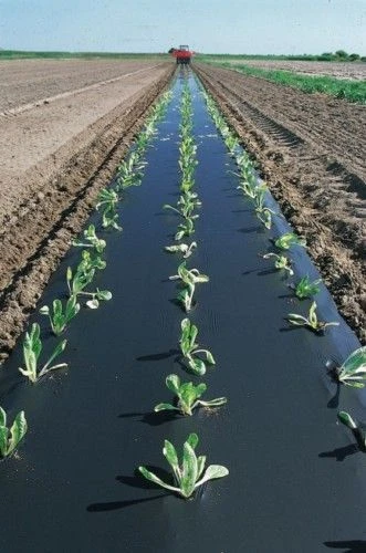 Telo Pacciamante 100 Mt X 90 Cm - Nero, Senza Fori, Antierbacce Per Orto E Giardino - Foto 5