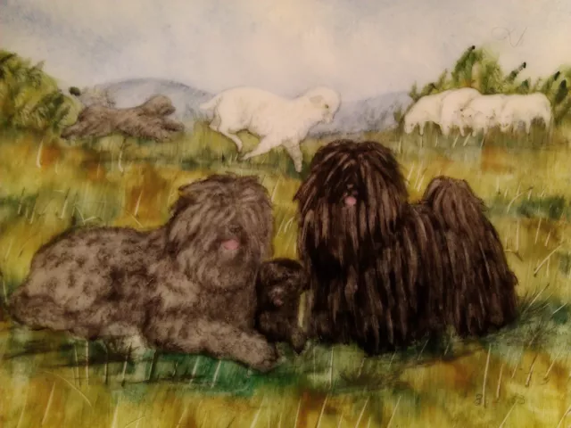 Barnhart Studios Komondor Puli Collector Plate Hand Painted Rare # 45 of 100