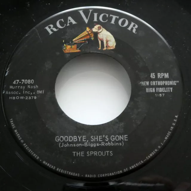 The SPROUTS 45 Teen Billy Baby/Goodbye She's Gone RCA rockabilly en muy buena condición++ Jr 1687