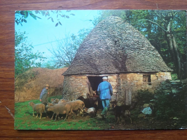 PERIGORD BORIE GARIOTTE MOUTONS BERGER  carte postale  postcard