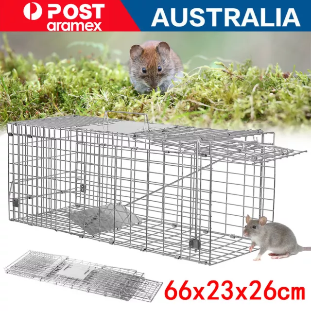 s TOP SELLING Possum Trap Pestrol Large. Cats dogs foxes