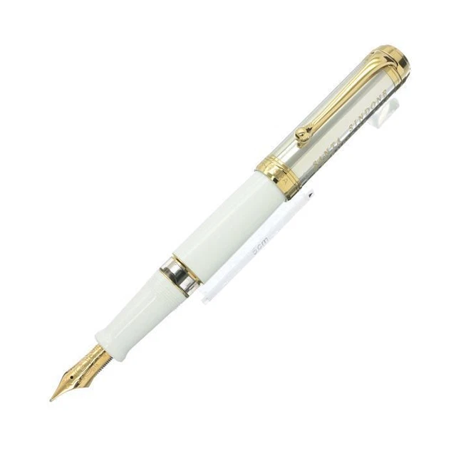 Aurora Wannian Pen Limited Edition Sindone Solid Silver Cap Used-Good Quality Sm