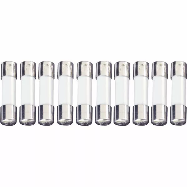 ESKA UL522.209 Ul Verre Temps Retard Micro Fusible 5 x 20mm 160mA 250V, De 10
