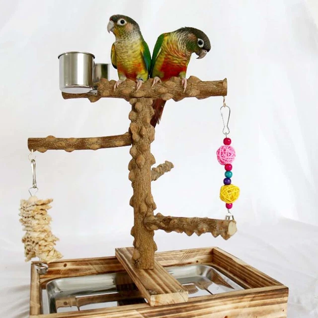 Vogelspielplatz Sittich Vogellaufstall Papagei für Nymphensittiche