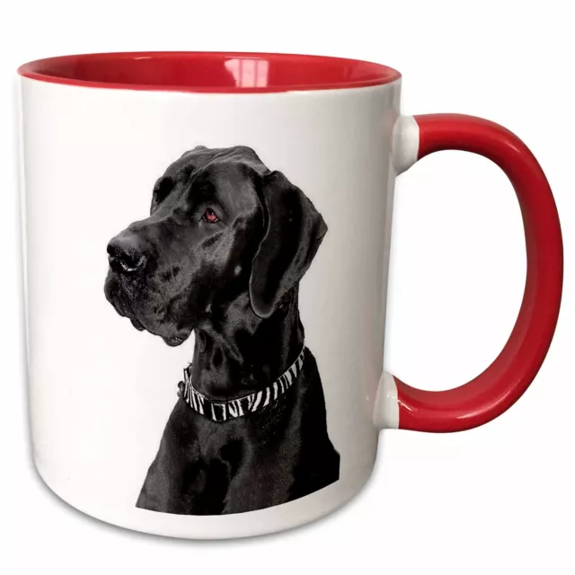 3dRose Black Great Dane Mug